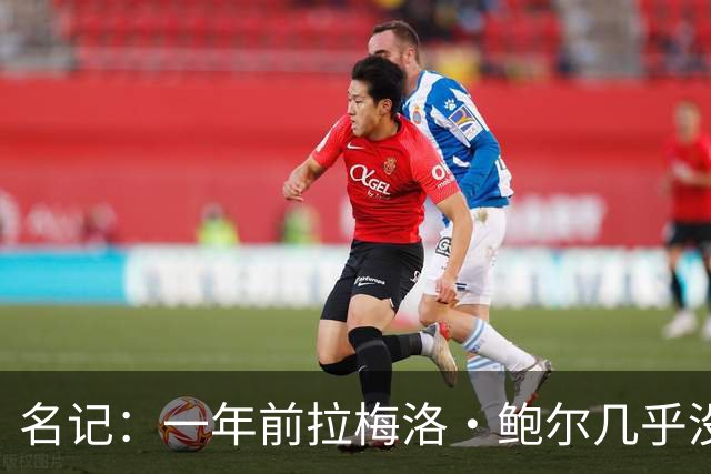名记：一年前拉梅洛·鲍尔几乎没什么价值 黄蜂是交易的最大赢家